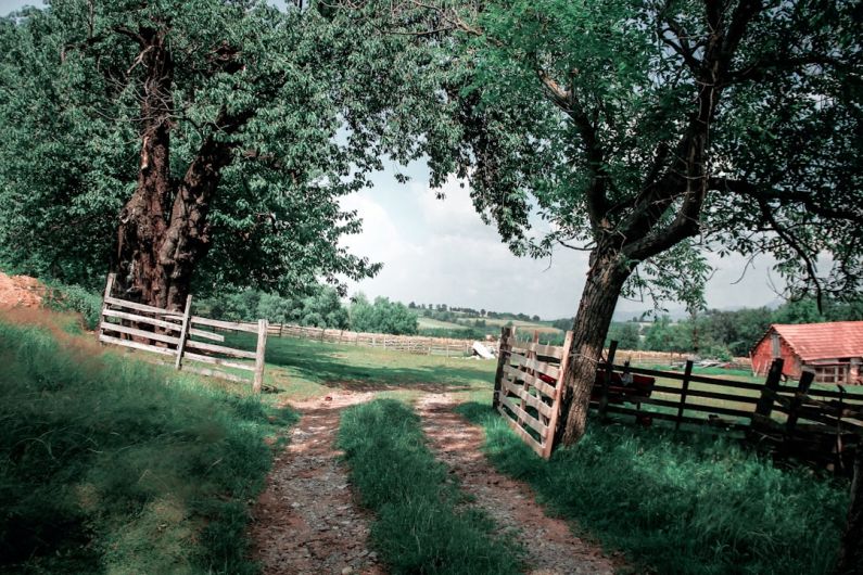 Country Living - green grass field with brown wooden fence