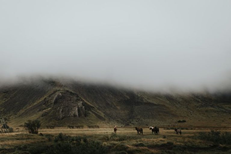 Traveling Horses - animals at the foot of mountain during daytime
