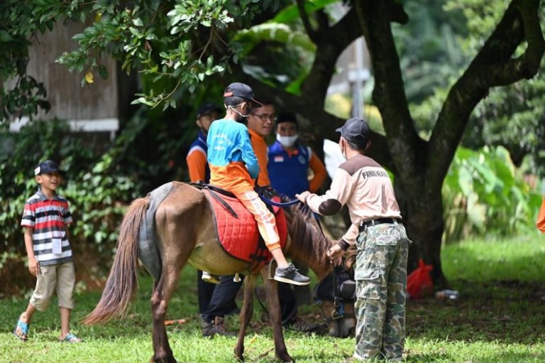 Kids Equestrian - a group of people standing around a brown horse