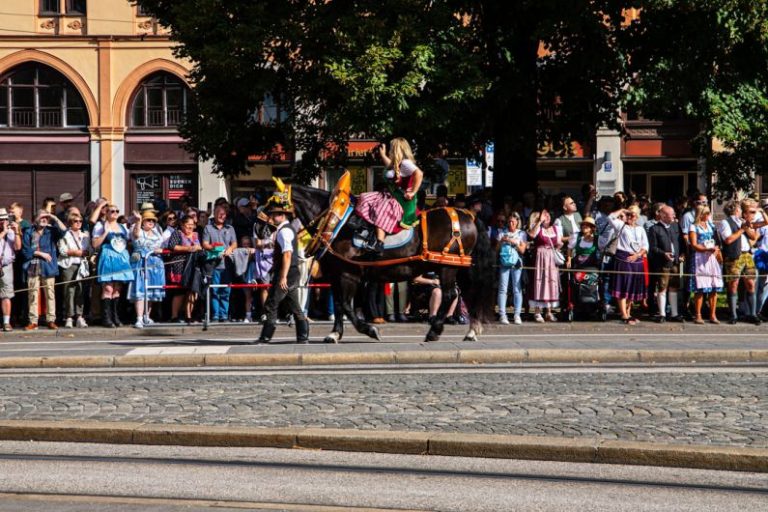 Cultural Horse - a man riding on the back of a black horse
