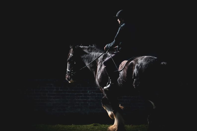 Lunging Horse - black horse on green grass field during daytime