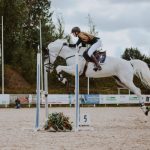 Dressage Horse - man riding white horse during daytime