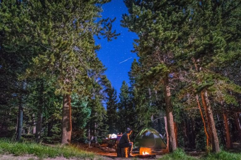 Overnight Camping - man sitting near bonfire and green tent in forest