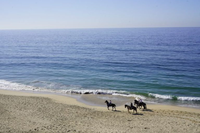 Beach Horseback - a group of people riding horses on top of a sandy beach