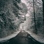 Snowy Trail - a car driving down a snow covered road
