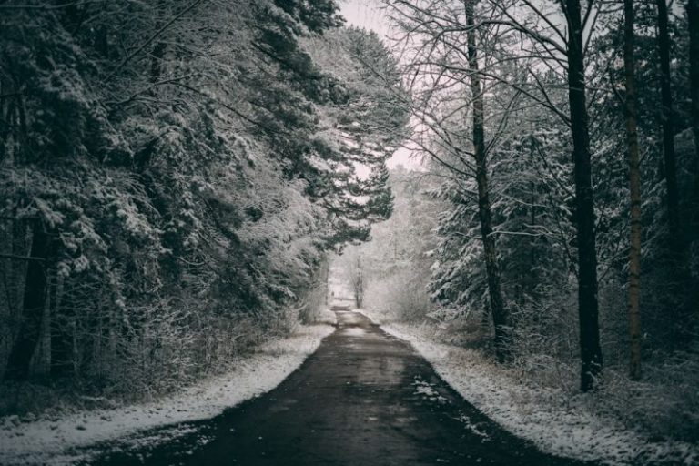 Snowy Trail - a car driving down a snow covered road