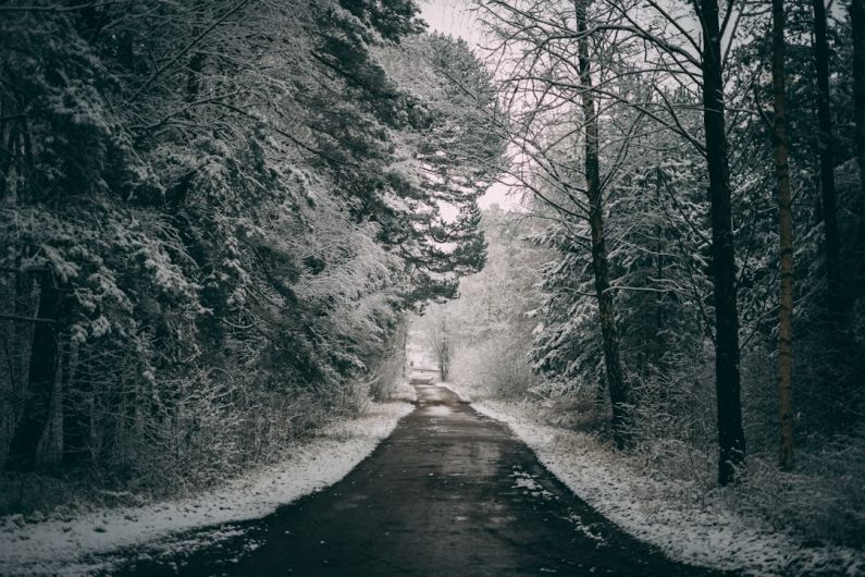 Snowy Trail - a car driving down a snow covered road