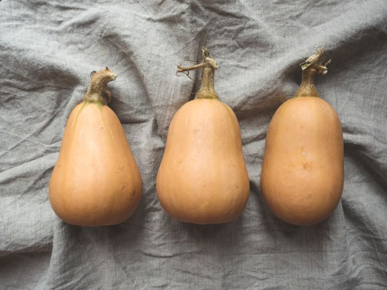 Seasonal Health - three orange pumpkins
